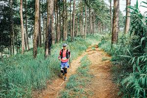 BIB: 
                            <button type="button" onclick="openModal(25688022)" class="btn btn-primary btn-sm float-right btn-popup" data-toggle="modal" data-target=".modal-high-quality">
                        <i class="fas fa-shopping-cart"></i> Add to Cart
                    </button>
                                            <button type="button" onclick="isThisMe(25688022, true)" class="btn btn-success btn-sm float-right btn-popup btn-isme hidden" data-toggle="tooltip" data-placement="bottom" title="นี่คือรูปของคุณใช่ไหม คลิกที่นี่เพื่อเอาเข้าอัลบั้ม">
                        <i class="fas fa-plus"></i> Add to album
                    </button>
                    <button type="button" onclick="isThisMe(25688022, false)" class="btn btn-warning btn-sm float-right btn-popup btn-isnotme hidden">
                        <i class="fas fa-ban"></i> Remove from album
                    </button>